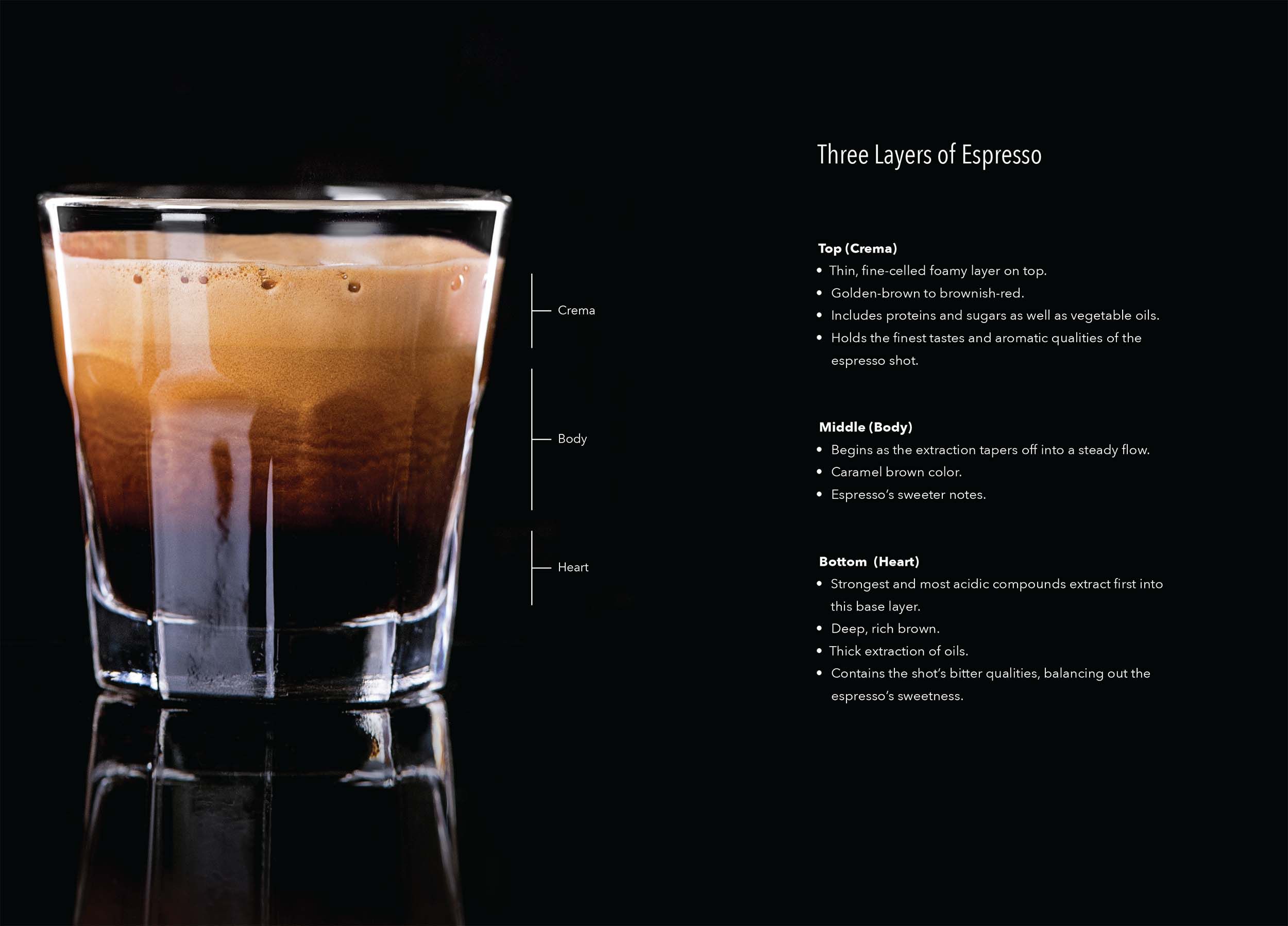 Grindmaster Espresso Brochure Spread