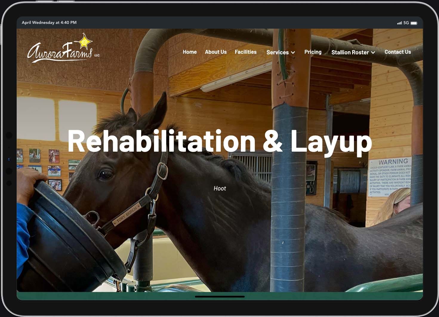 Aurora Farms Website Screenshot - Rehabilitation and Layup