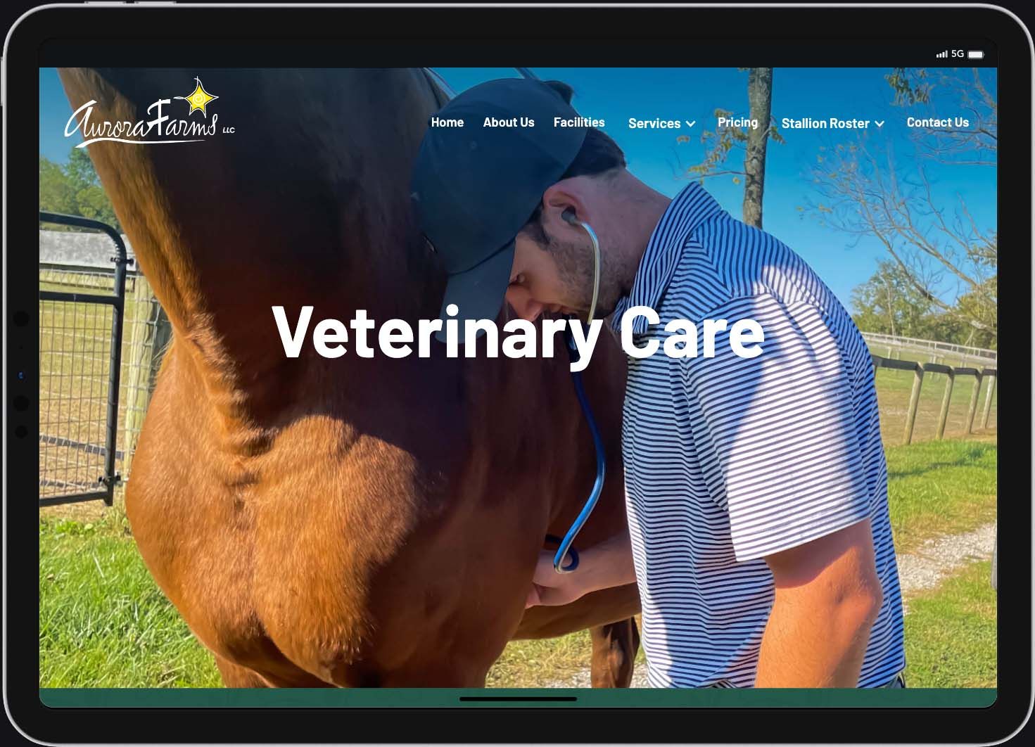 Aurora Farms Website Screenshot - Veterinary Care